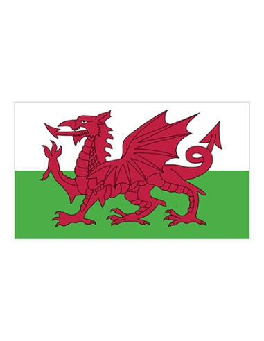 P-FLAGWLS-Flag Wales